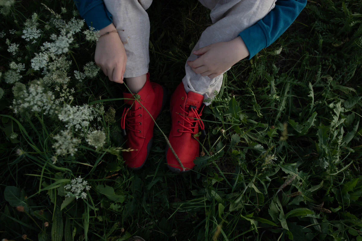 Vorschaubild 3